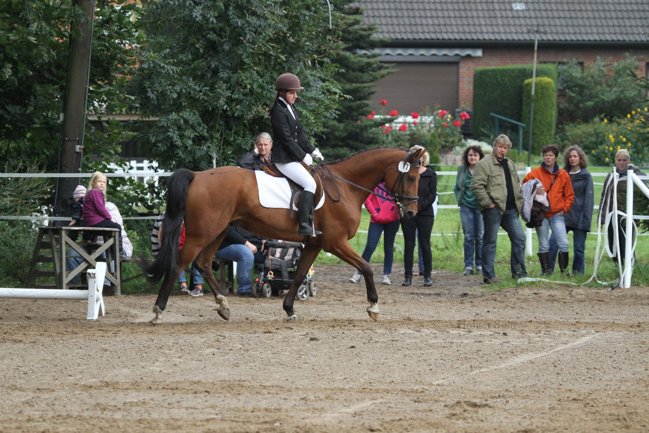 Bild 214 - WBO-Turnier am 18.9.11